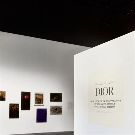 Dior Presents the 6th Annual Art of Color Photography And 